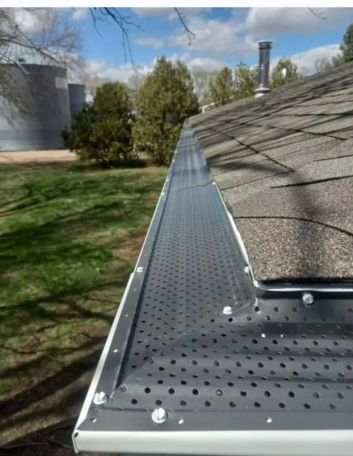Gutter RX micro-mesh gutter guard installed along a roofline